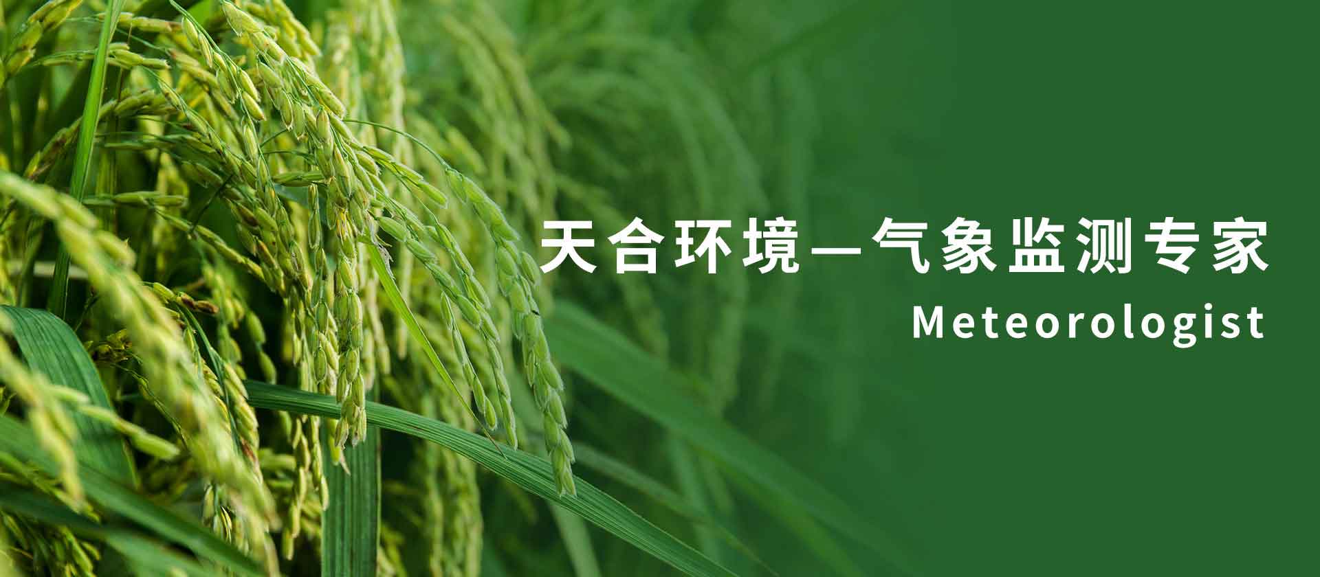 能見(jiàn)度監(jiān)測(cè)站廠(chǎng)家